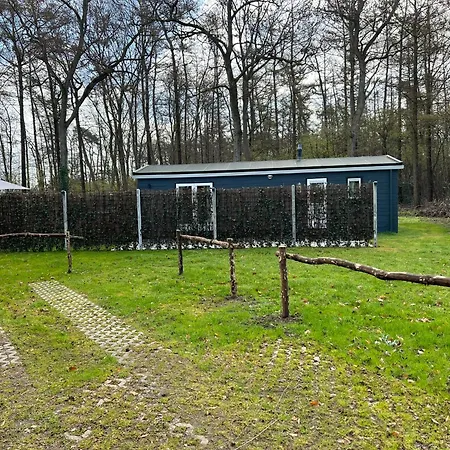 Wellness In De *